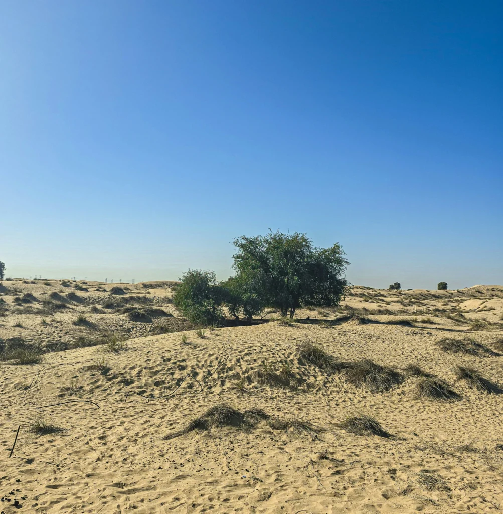 Al Awir Desert