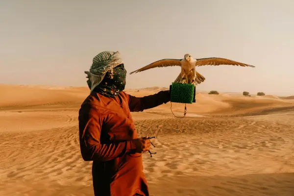falconry desert safari