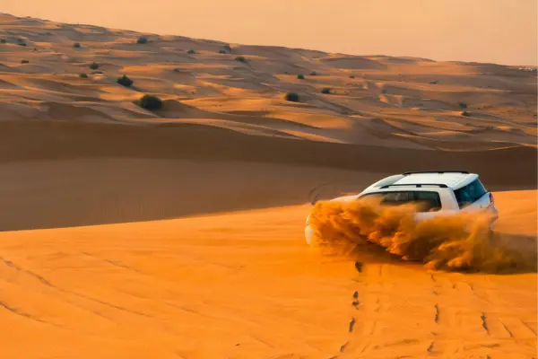 SUV dune bashing in desert safari