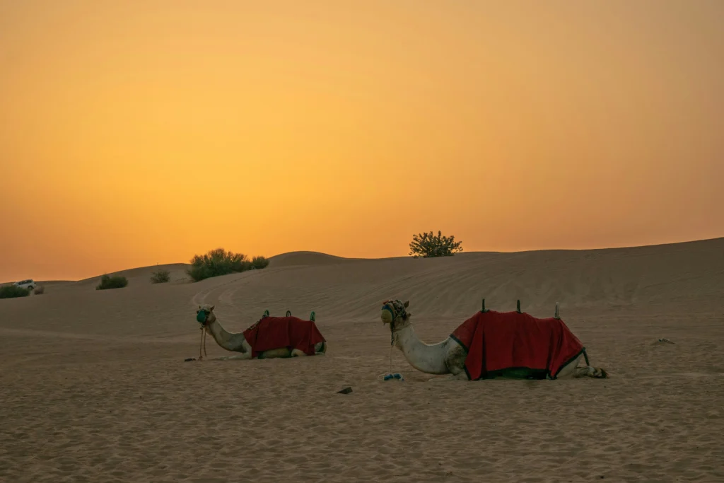 Bidayer Desert