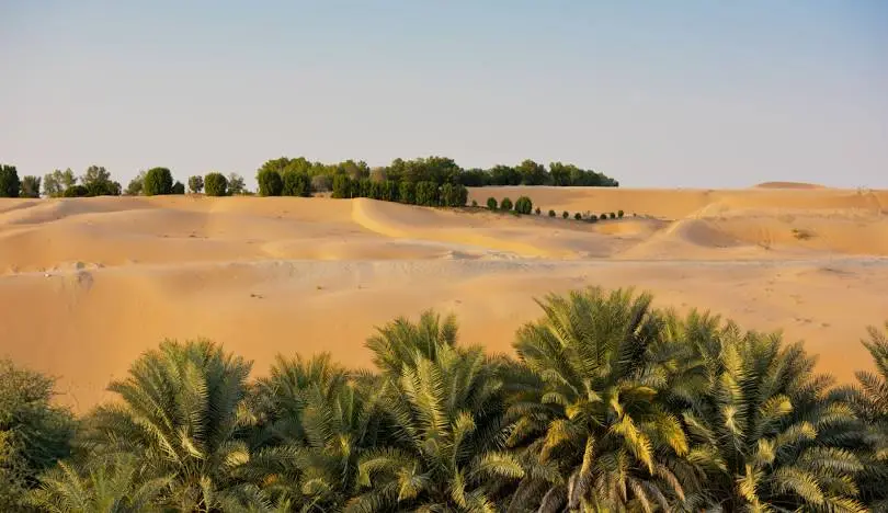 Liwa Desert Adventures